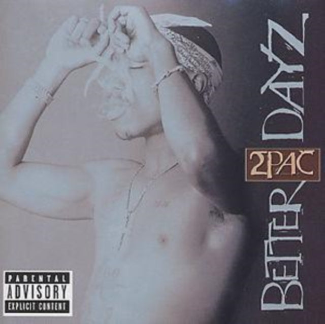 Better Dayz
