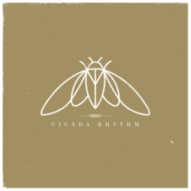 Cicada Rhythm