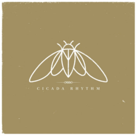 Cicada Rhythm