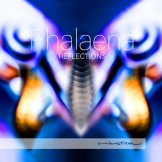 Phalaena: Reflections