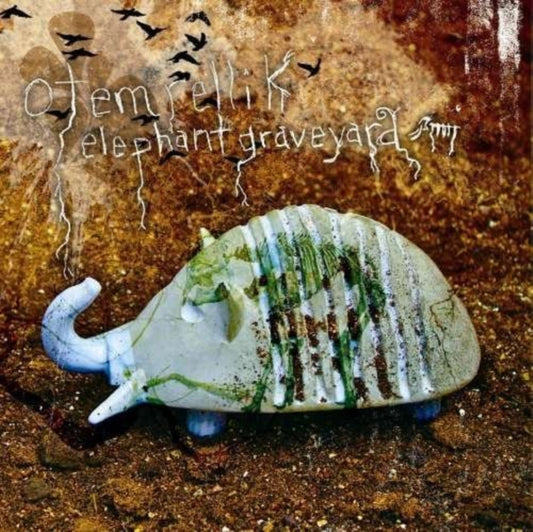 Elephant graveyard