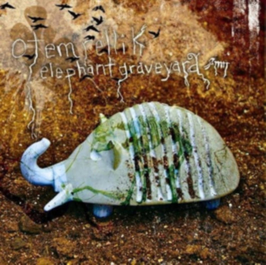 Elephant graveyard