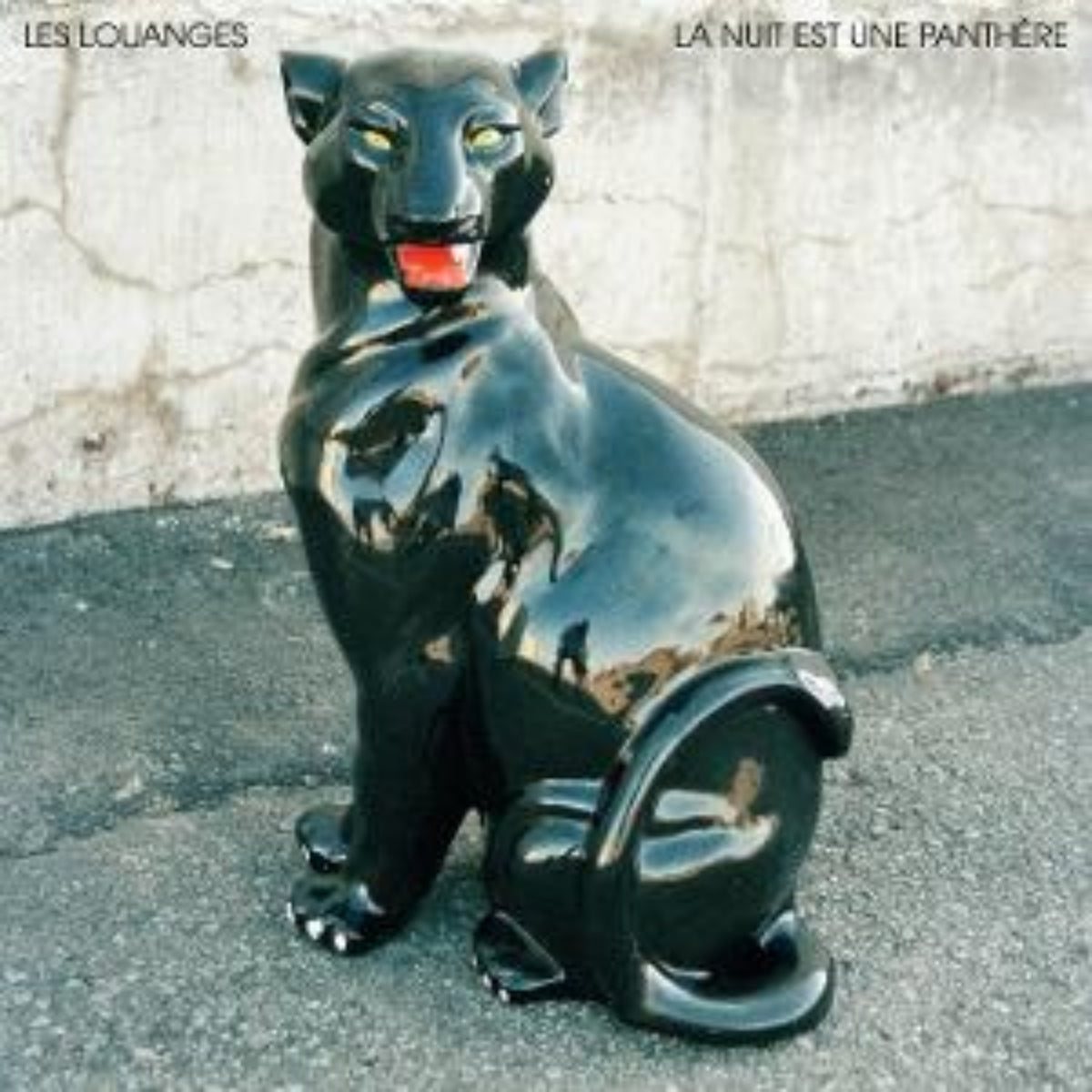 La Nuit Est Une Panthère