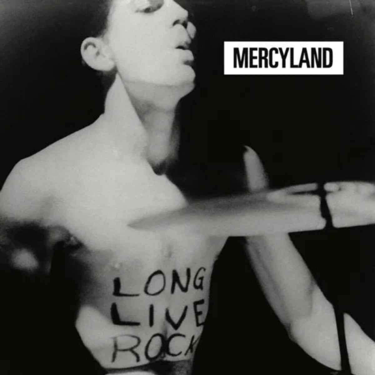 Mercyland