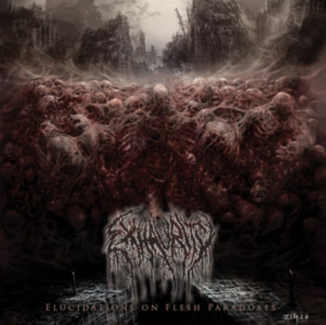 Elucidations On Flesh Paradoxes
