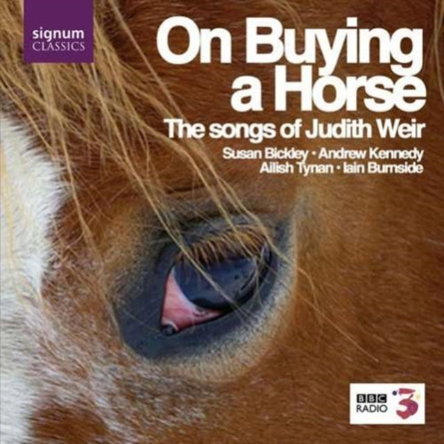 On Buying a Horse