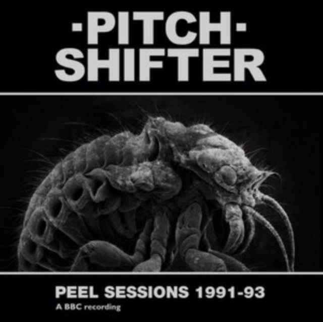 Peel sessions 1991-93