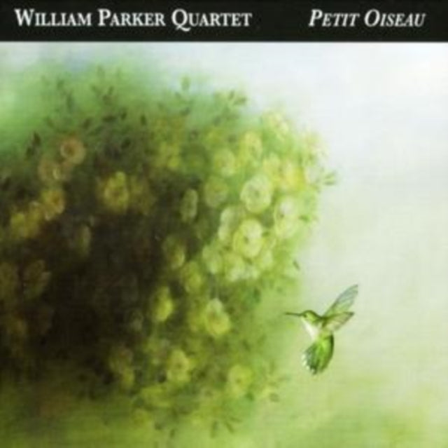 Petit Oiseau