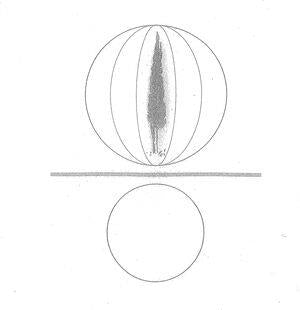 Spheres Collapser
