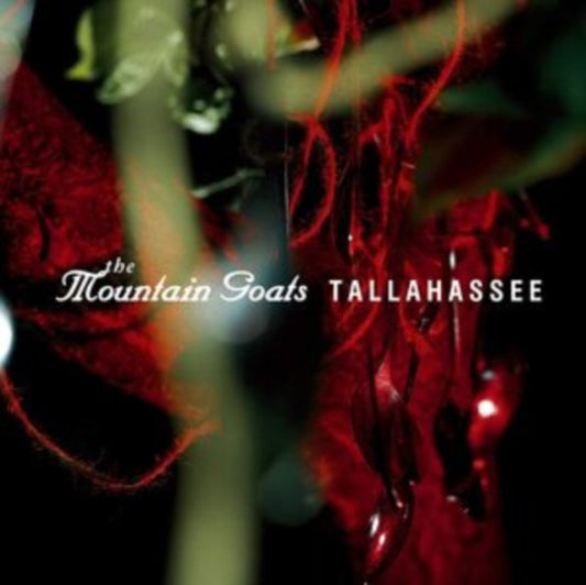 Tallahassee