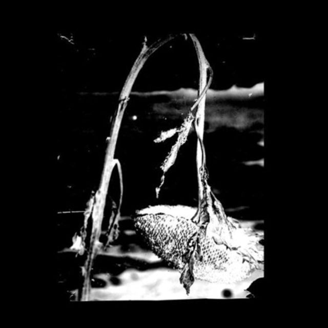 Cleaning the Mirror [us Import]
