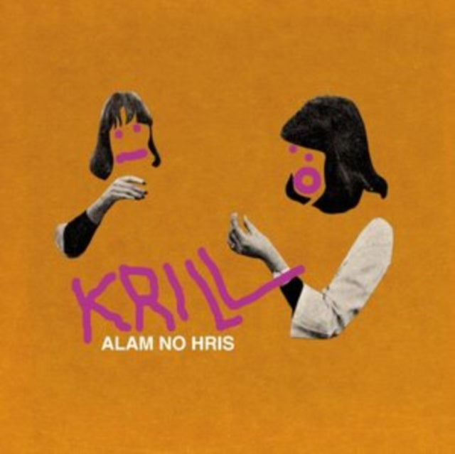 Alarm No Hris