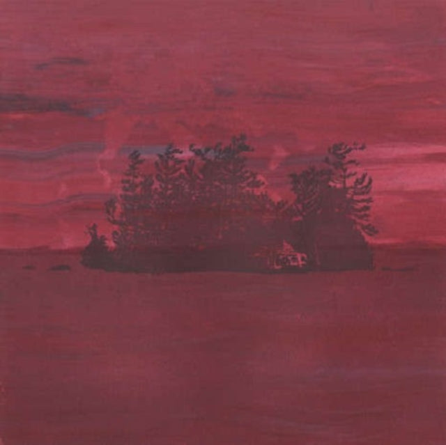 The Besnard Lakes Are the Divine Wind