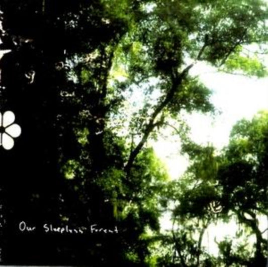 Our Sleepless Forest