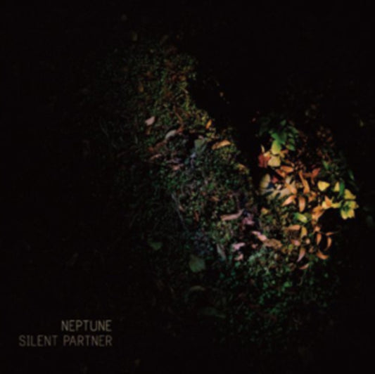 Silent Partner