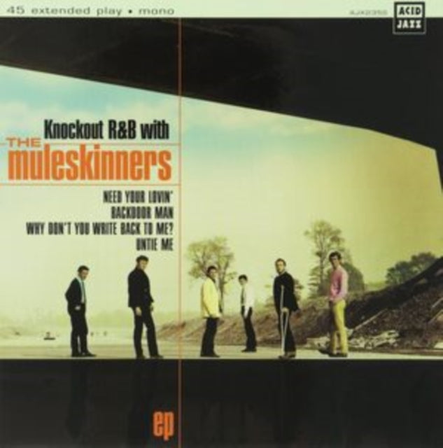 Knockout R&B With the Muleskinners