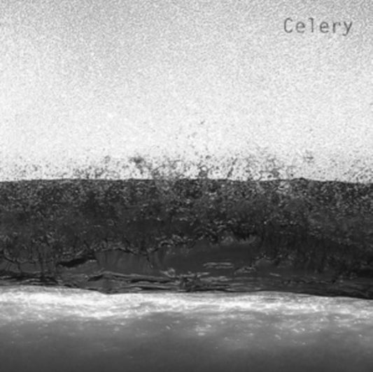 Celery