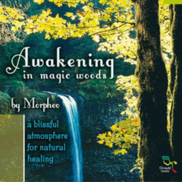 Awakening in Magic Woods