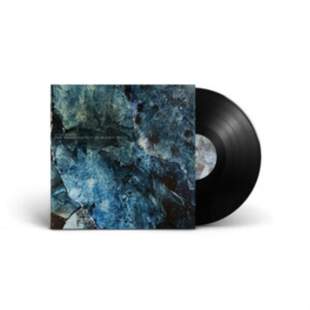 The Translucency of Mind's Decay