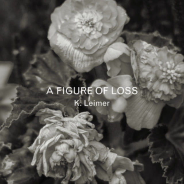 A Figure of Loss