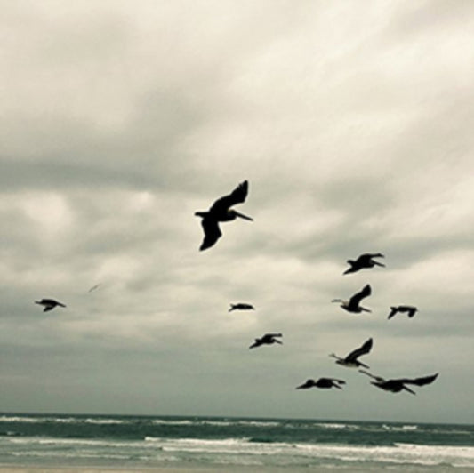 In a Moment: Music for Piano & Strings