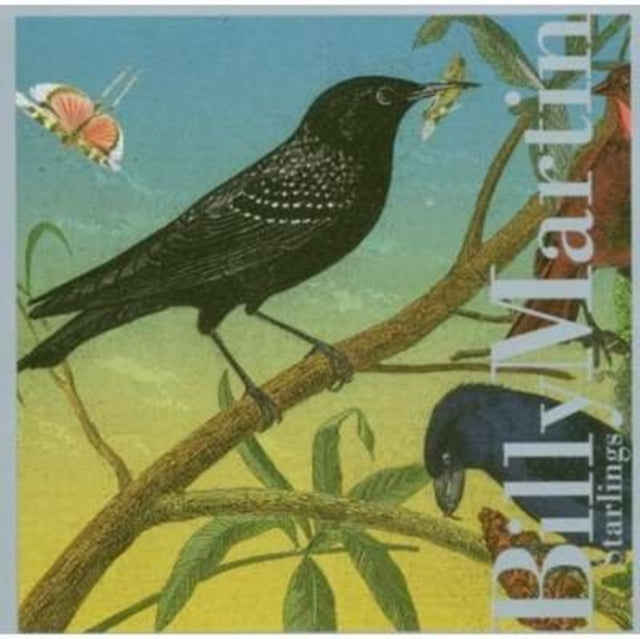 Starlings