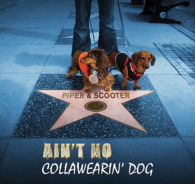 Ain't No Collawearin' Dog