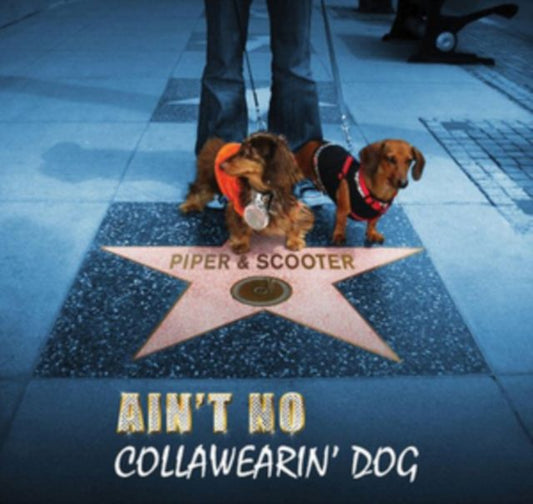 Ain't No Collawearin' Dog