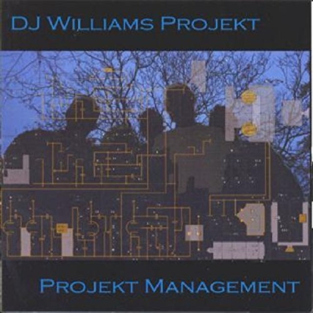 Projekt Management [us Import]