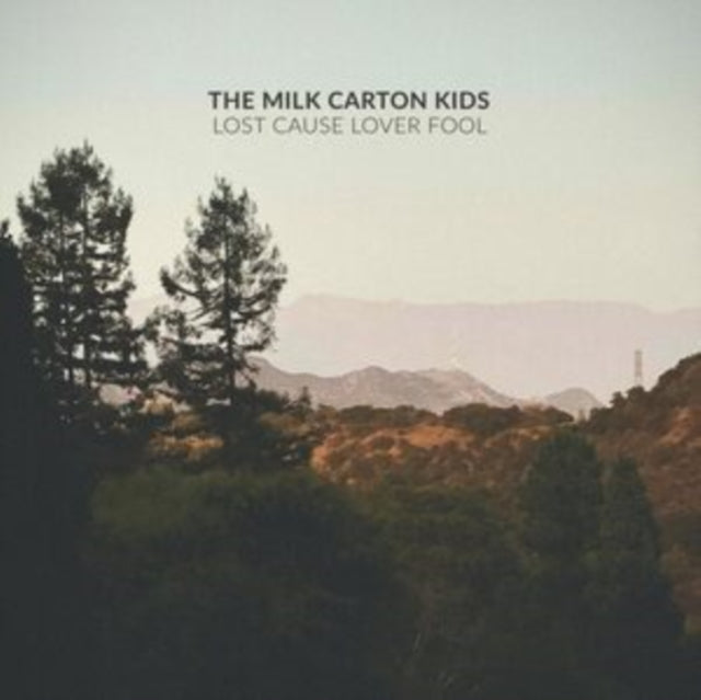 Lost Cause Lover Fool
