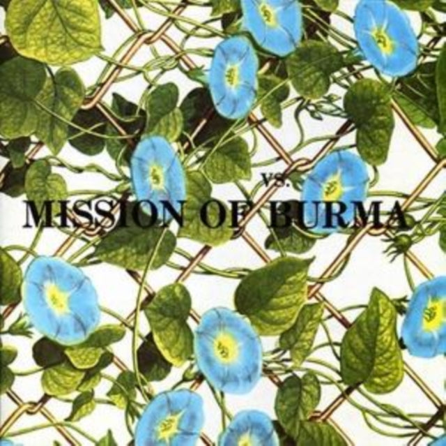 Vs [cd + Dvd]