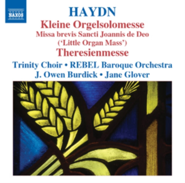 Haydn: Kleine Orgelsolomesse