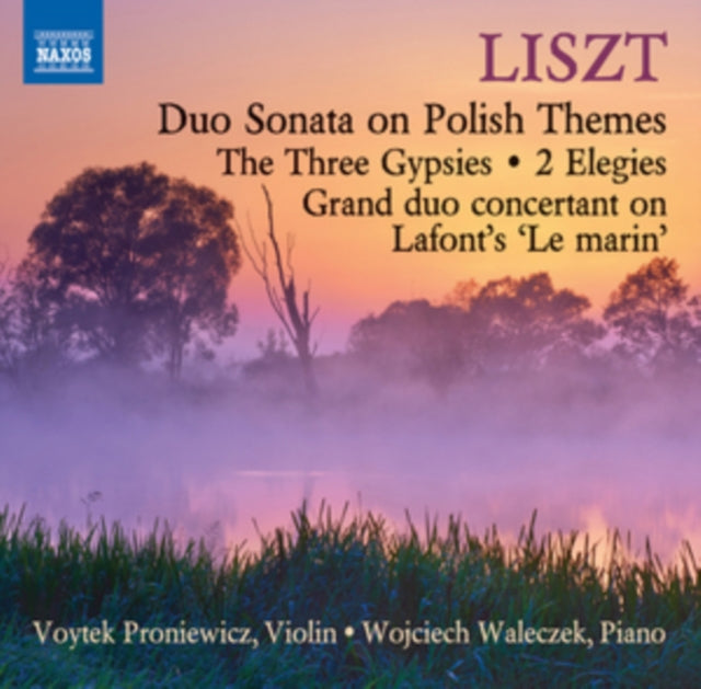 Liszt: Duo Sonata On Polish Themes