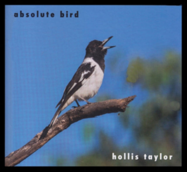 Hollis Taylor: Absolute Bird