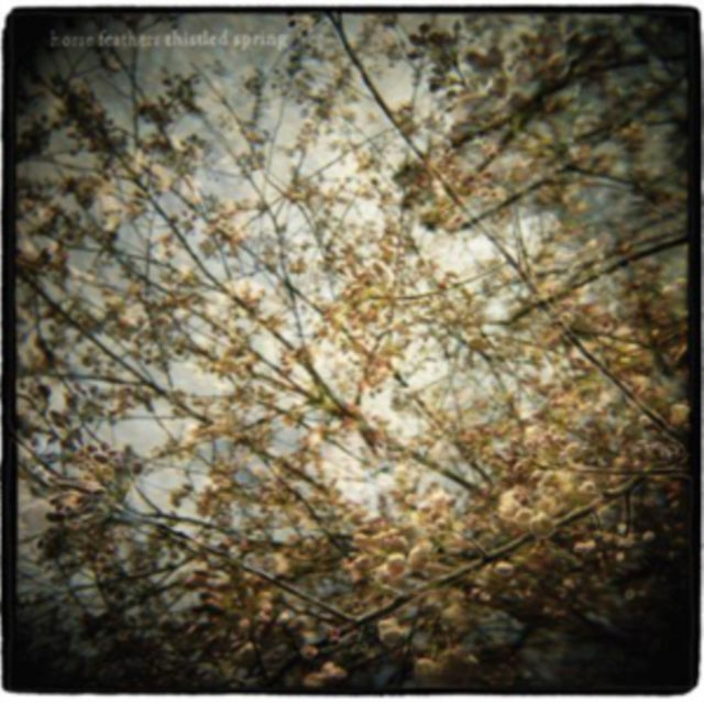 Thistled Spring