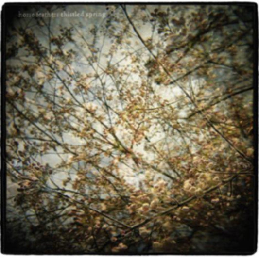 Thistled Spring