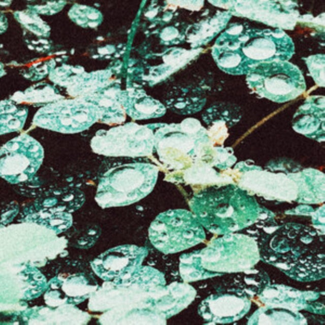 Rain chamber