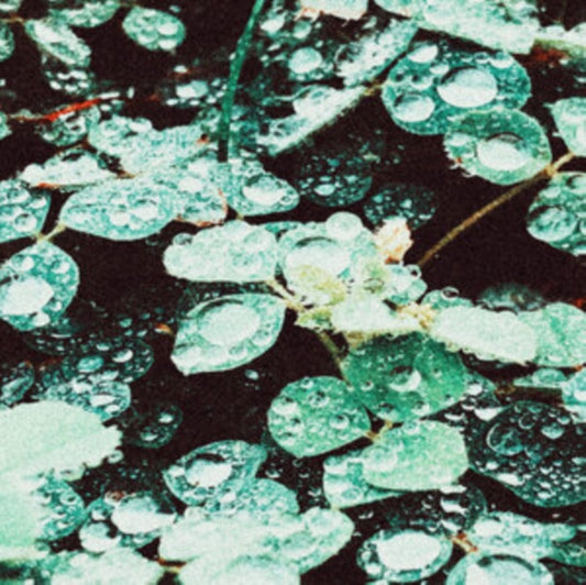 Rain chamber