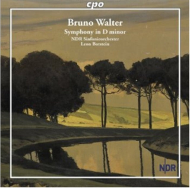 Bruno Walter: Symphony in D Minor