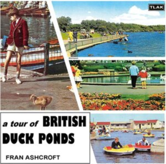 A Tour of British Duck Ponds