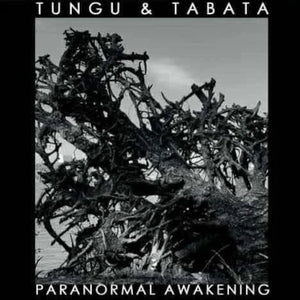 Paranormal Awakening