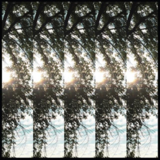 Dialectic of Ignorance