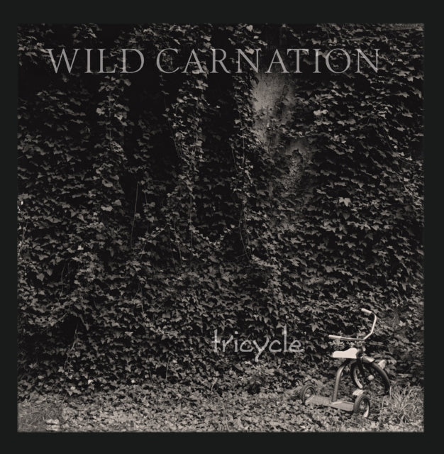 Tricycle (RSD 2023)