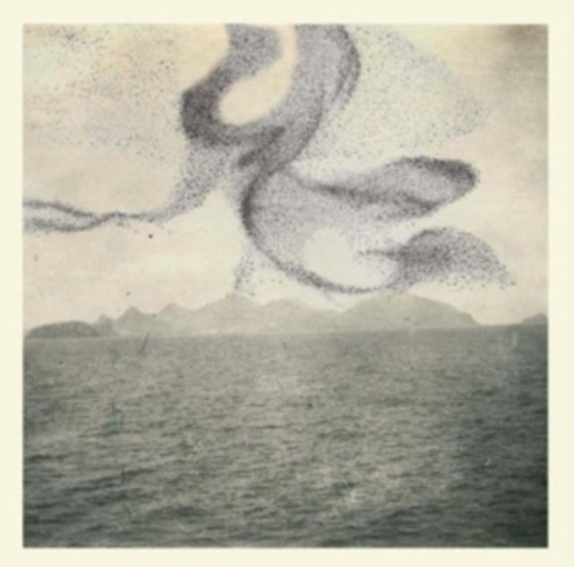 A Small Murmuration