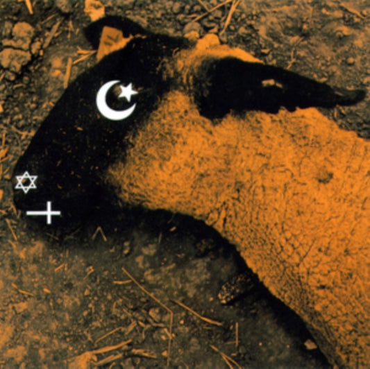 Animositisomnia