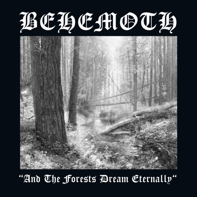 And the Forests Dream Eternally