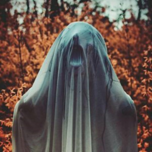Noctambulist I: Elegieën