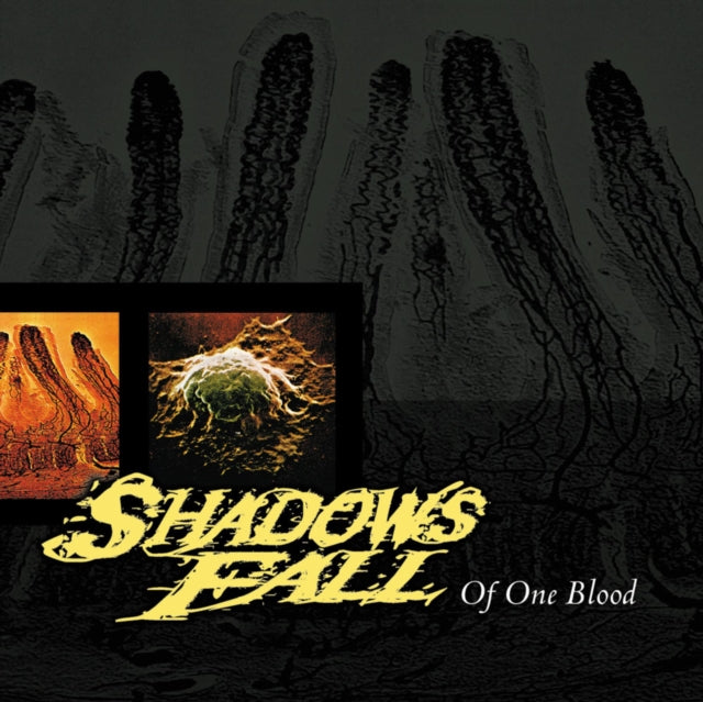 Of One Blood (20th Anniversary Edition)
