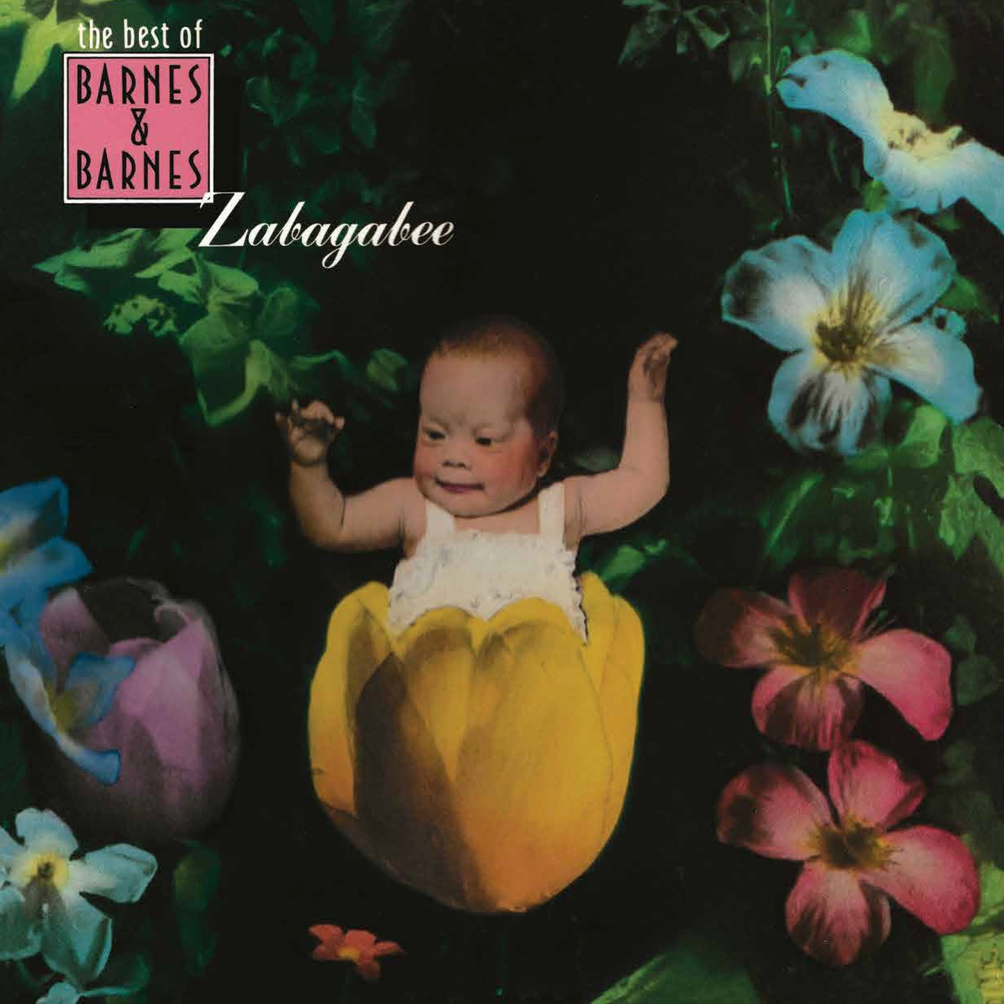 Zabagabee