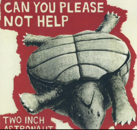 Can You Please Not Help